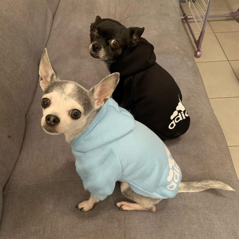 Winter Pet Dog Clothes Hoodies Fleece Warm Sweatshirt Small/Medium/Large Dogs Jacket