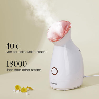Facial Steamer Nano Ionic Hot Mist Home Sauna Facial Humidifier Spa Quality