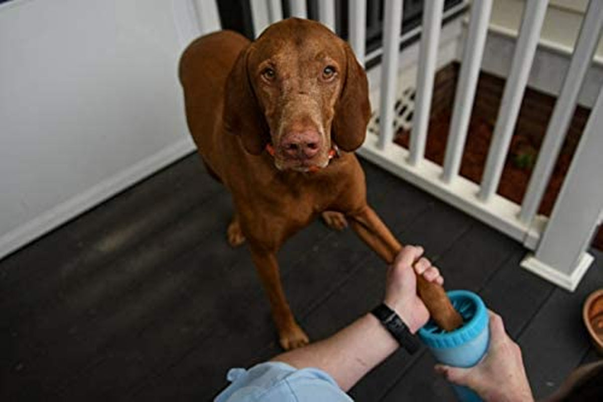 Mudbuster Portable Dog Paw Cleaner, Medium, Blue